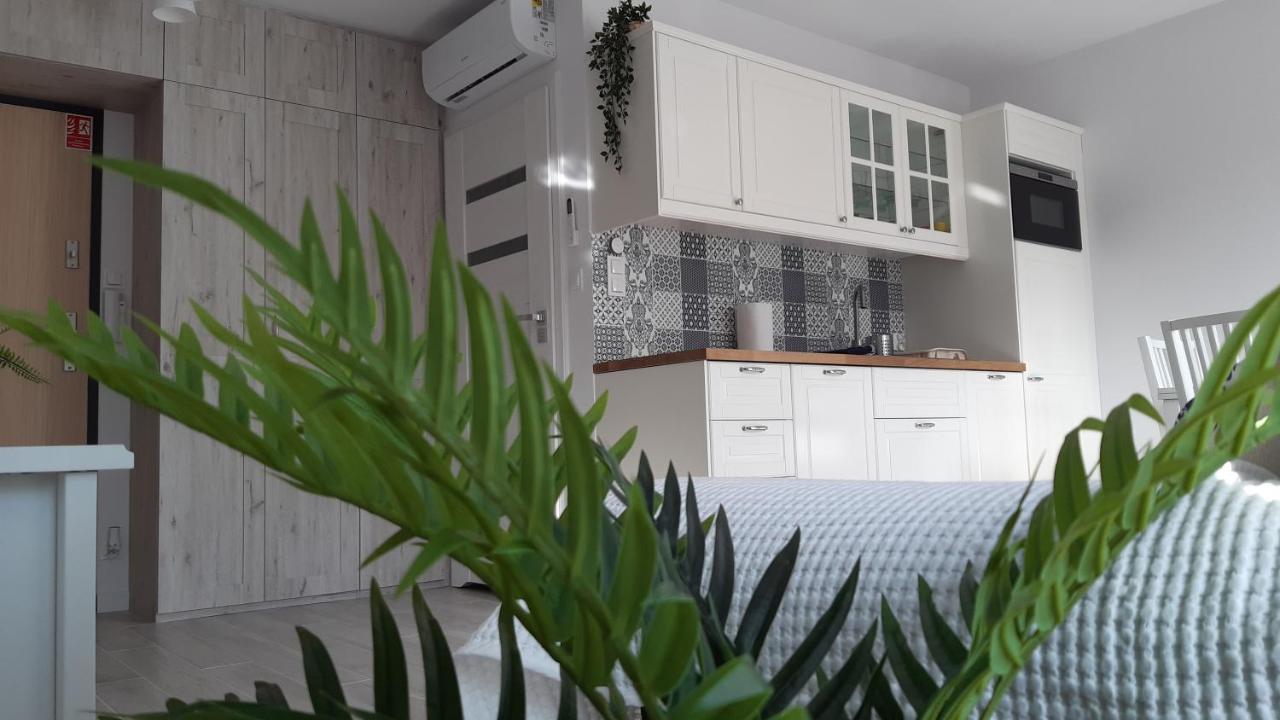 Apartament Biala Foczka Apartment Stegna  Exterior photo